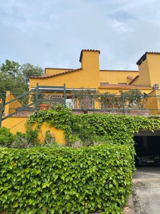 Chalet En 柯米拉斯 外观 照片